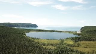 "Life in Green: A Visual Odyssey through the Wonders of Nature"