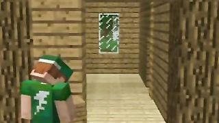 Minecraft 35