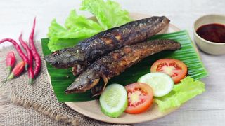 Ikan Lele Bakar