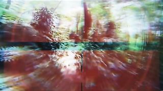 Drone Hutan