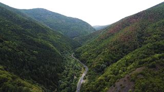 "Balanced Ecosystems: Discover the Magic of Preserved Nature"