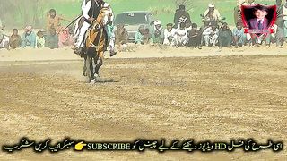 #febspot#foryou #foryoupage#horses#ridings#vedio67#ahmad#nasir#sports#fyb#fybpage