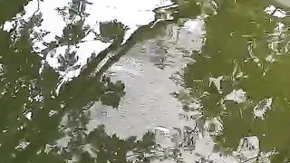 Jika ikan lele sedikit menggantung pada pagi hari, itu wajar, sebab suhu masih dingin