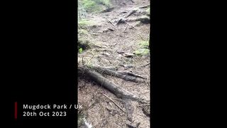 earthquake phenomena throughout the world 2023!!