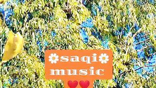Saqi video 32