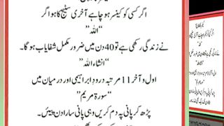 اسلامی معلومات Like share follow 175