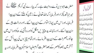 اسلامی معلومات Like share follow 178