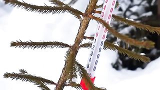 How to make Winter ☃️❄️ to defence animalistic a house ????
