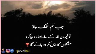 Most Beautiful Educational Facts and Quotes About Life _ Arab Sayings _ Rumi Saying _ Urdu Quotes