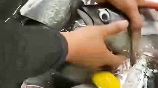 Cara membuat abon dari ikan tongkol