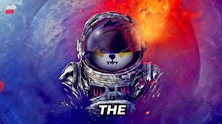 SHIBA INU CEO PROMISED TO DELETE THREE ZEROES BEFORE 2024!!! - SHIBA INU NEWS TODAY