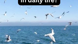#Express love in daily life