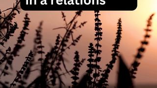 What role does trust play in a relationship?