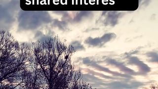 Importance of shared interests