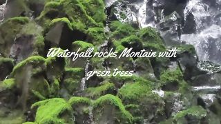 Waterfall Rocky Montain and Green trees