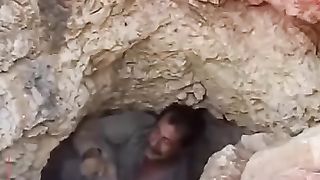 What is this animal 2