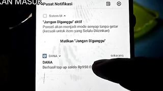 Penghasil saldo dana 2