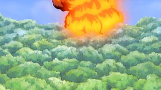 Api Sandora