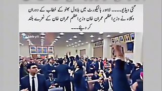 Imran Khan lovers 38