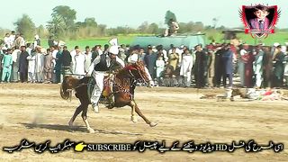 #febspot#foryou #foryoupage#horses#ridings#vedio68#ahmad#nasir#sports#fyb#fybpage