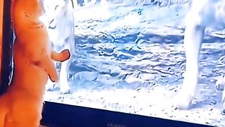 funny animals #pet #cat #dog #cute #animals #foryou #typ Funny cute pets