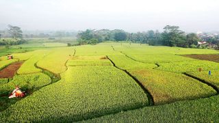 "Earthly Harmony: Capturing the Timeless Beauty of Nature"