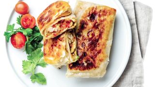 Chicken Chimichanga