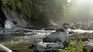 "Into the Heart of Fauna and Flora: A Sensory Expedition"