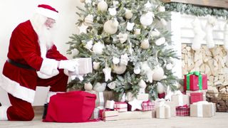 "Woodland Wonders: A Christmas Spectacle in Nature"