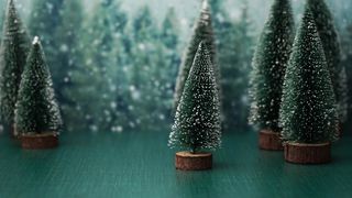"Holiday Serenity: Yuletide Tranquility in the Great Outdoors"