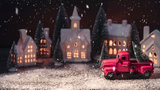 "Evergreen Elegance: Celebrating the Holidays with Nature's Beauty"