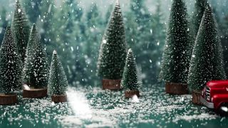 "Winter's Symphony: Nature's Ode to Christmas"
