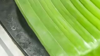 Nasi bakar