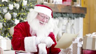 "Holiday Harmony: Nature's Festive Flourish"