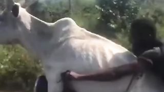 Average day in africa