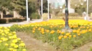 UBL tower Islamabad/Argentaina park islamabad #islamabad /SohailT22vlog