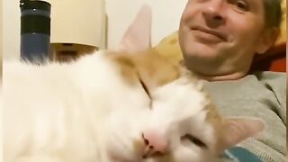 Animais Diversos Engraçado