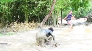 Must watch Very spacial New funny comedy video