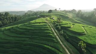 Pemandangan Alam