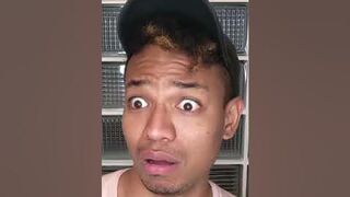 ANIMAL TIKTOK COMPILATION ???????????? REACTIONS