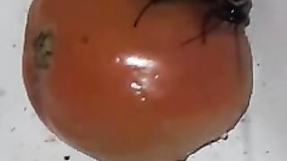 Cakroge