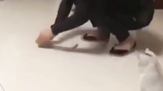 قطط لطيفة ورائعة
