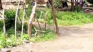 Video Lucu Bikin Ngakak, Wkwkwk