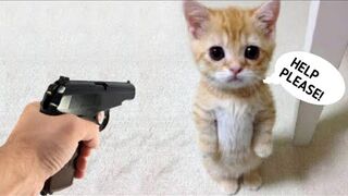 Best Funny Animal Videos Of The 2022 ????