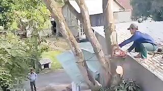 The best skill cutting tree