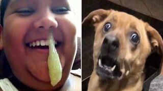 These pets will make you 100% laugh