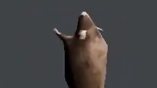 Rat meme extended