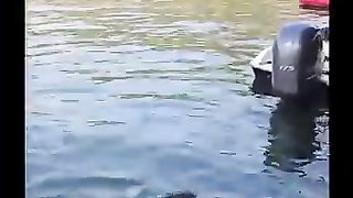 Try Not to Laugh Challenge 143