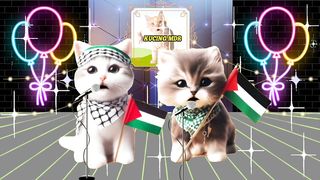 Atuna tufuli versi kucing mdr