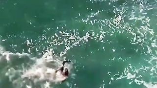 Video 426